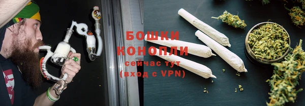 шишки Горно-Алтайск