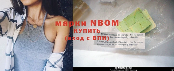 ГАЛЛЮЦИНОГЕННЫЕ ГРИБЫ Горняк