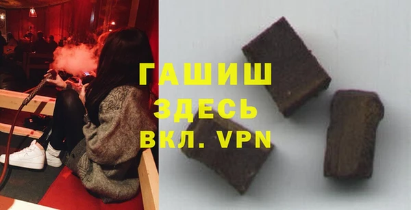 шишки Горно-Алтайск