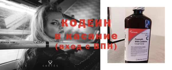 ГАЛЛЮЦИНОГЕННЫЕ ГРИБЫ Горняк