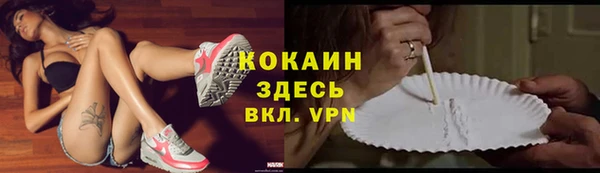 дживик Горнозаводск