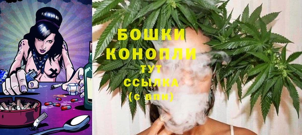 шишки Горно-Алтайск