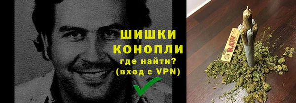 шишки Горно-Алтайск