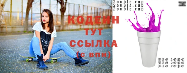 шишки Горно-Алтайск